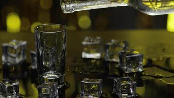 Barman pour frozen vodka from bottle into shot glass. Ice cubes against shiny gold party background video