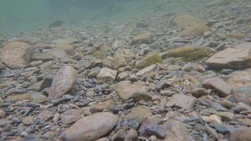 Underwater Rocky Bed in Mountains photo