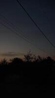 Silhouetted Power Lines and Trees Against a Tranquil Early Morning Sunrise Sky photo