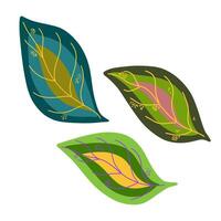 three leaves with different designs on them vector