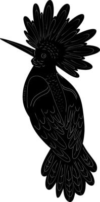 a black and white illustration of a bird with a long tail
