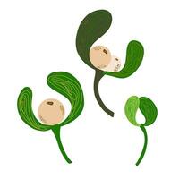 a set of three green leaves with a white seed vector