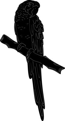 a black and white illustration of a parrot sitting on a branch