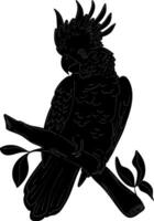 a black and white illustration of a parrot sitting on a branch vector