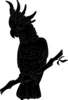 a black and white illustration of a parrot sitting on a branch vector