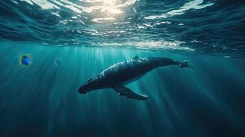 Humpback whale gracefully swims beneath sunlit waters in a serene ocean backdrop photo