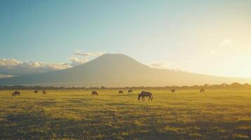 Elephants grazing in a grassy plain with a majestic mountain backdrop at sunset photo