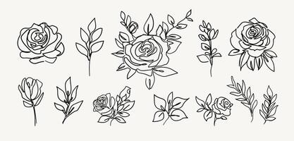 Set of Abstract roses flowers and leaves in one line art drawing style. vector