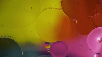 Macro structure of colorful oil bubbles. Chaotic motion. Abstract multicolored background. Pattern video