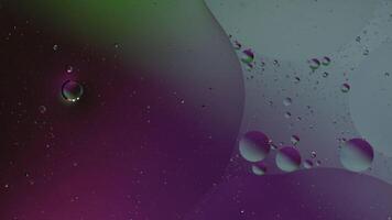 Macro structure of colorful oil bubbles. Chaotic motion. Abstract multicolored background. Pattern video