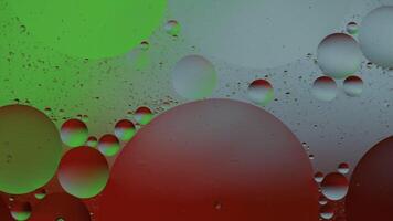 Macro structure of colorful oil bubbles. Chaotic motion. Abstract multicolored background. Pattern video