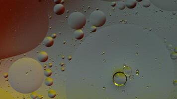Macro structure of colorful oil bubbles. Chaotic motion. Abstract multicolored background. Pattern video