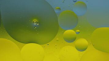 Macro structure of colorful oil bubbles. Chaotic motion. Abstract multicolored background. Pattern video