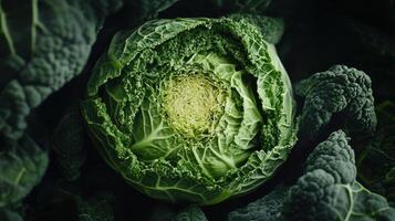 Fresh Green Cabbage Surrounded by Lush Kale Leaves in a Garden Setting During Daylight photo