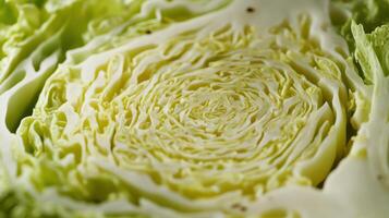 Detailed Close-Up View of Freshly Sliced Green Cabbage in Natural Light photo