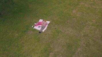Family weekend picnic in park. Aerial view. Senior old couple lie on blanket on green grass meadow video