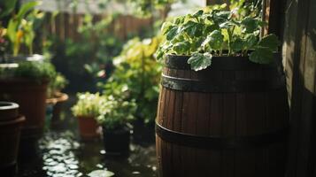 A wooden barrel filled with lush plants surrounded by greenery in a tranquil garden during the afternoon photo