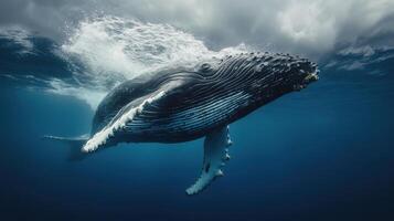 A humpback whale swims gracefully beneath the ocean surface in clear blue waters with sunlight filtering through clouds above photo