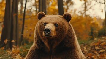 A lone bear gazes curiously in an autumn forest filled with colorful leaves during the golden hour photo