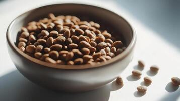 A bowl filled with dry pet food placed on a light surface, with some pieces scattered nearby in natural sunlight photo