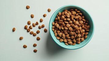 A bowl of dry pet food with scattered pieces on a white surface photo