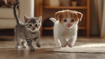 Two playful kittens exploring a cozy living room in the afternoon sunlight photo
