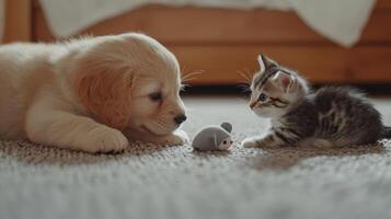 A playful puppy and a curious kitten interact with a toy mouse in a cozy indoor setting during the daytime photo