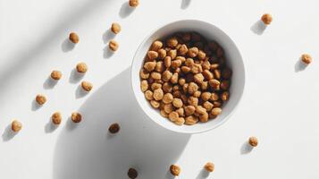 Brown dry pet food scattered around a white bowl on a bright surface photo