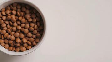 Bowl filled with cat food on a light surface photo