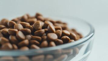 Close-up of dry cat food in a clear glass bowl on a light surface, showcasing the texture and color of the kibble photo