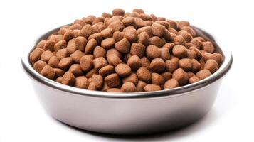 A bowl filled with dry pet food for dogs or cats placed on a white background photo