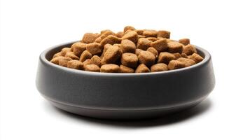 Dry pet food in a black bowl on a white background photo