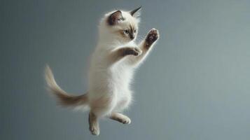 A playful kitten leaps in mid-air against a soft gray background during a light-hearted indoor moment photo