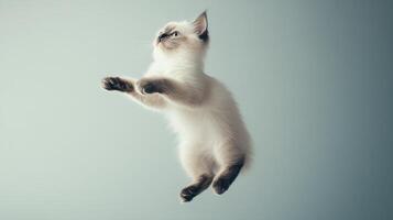 A playful kitten jumps in the air against a minimalistic background photo