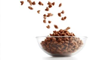 Dry pet food being poured into a clear glass bowl against a white background in a bright setting photo