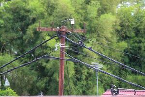 Electrical poles and cables with trees in the background photo