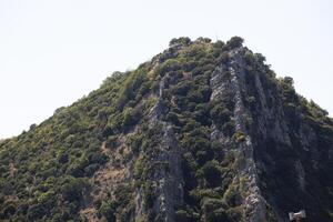 Huge mountain with trees against the sky. Horizontal photo