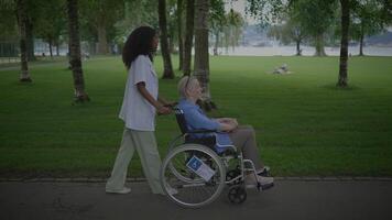 Caregiver Providing Support to a Wheelchair User in a Beautiful and Scenic Park Environment video