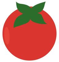 Flat illustration of red tomato isolated on white background. vector