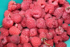 Raspberry Background. Ripe raspberries close-up berry red pink background from food photo