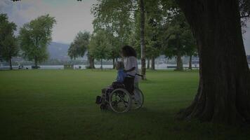 Experiencing Companionship in Nature A Beautiful Moment of Connection and Reflection video