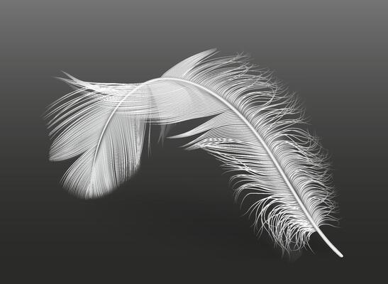 Flying white single plume practical outline on dark foundation. Delicate drifting plume 3d plan component. Bended feathered creature plumage portion picture