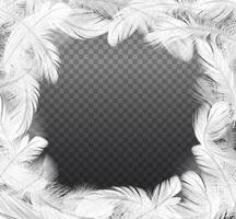 Frame of bird feathers realistic illustration. White plumage round border 3d design elements. Copy space template vector