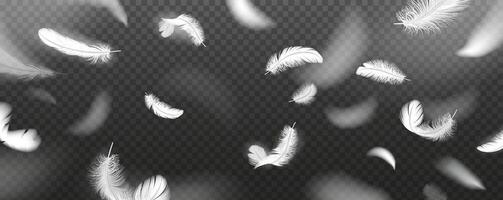 Coasting plumes design reasonable outline. Rich winged creatures crest flying in space 3d plan components vector