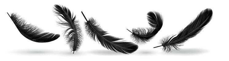 Fowl quill shapes gather practical outline set. Flying plumage with untidy surface. Soft dark plumes 3d components on white foundation vector