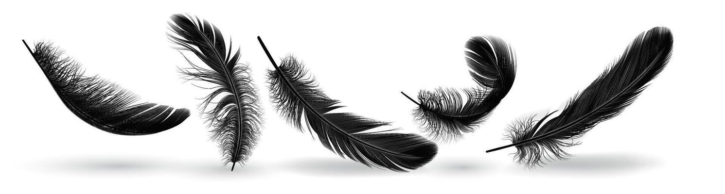 Fowl quill shapes gather practical outline set. Flying plumage with untidy surface. Soft dark plumes 3d components on white foundation