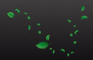 New spring clears out stream reasonable outline. Lavish coasting foliage. Spring and summer herbs 3d component vector