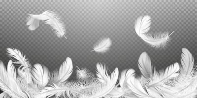 Flying plumes drop down on heap practical outline. White delicate feathered creatures plumage 3d plan components vector