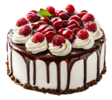 Delicious chocolate raspberry cake topped with fresh berries and creamy icing, cut out - stock . png