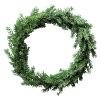 verde hojas perennes guirnalda hecho desde Fresco pino sucursales, diseñado para estacional decoración durante invierno festividades, cortar fuera - valores . png